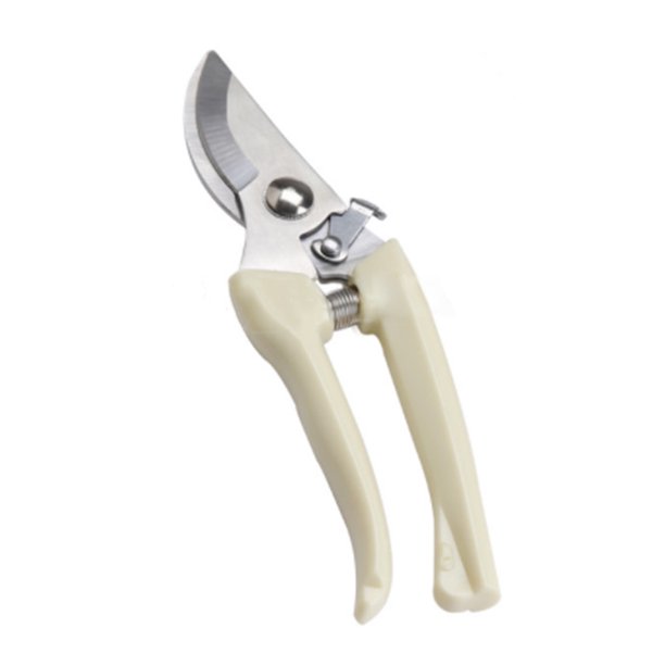 41715a95-972e-40aa-8f28-244f2aea6edd.beb50b828cbdc343706a137f78dcb3a5