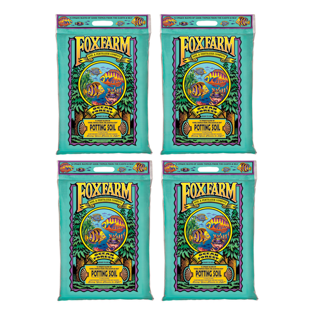 338e8456-4a52-4446-b72e-026e7d15b001_1.93309ed088c4382e8c8dab85dd6ff527